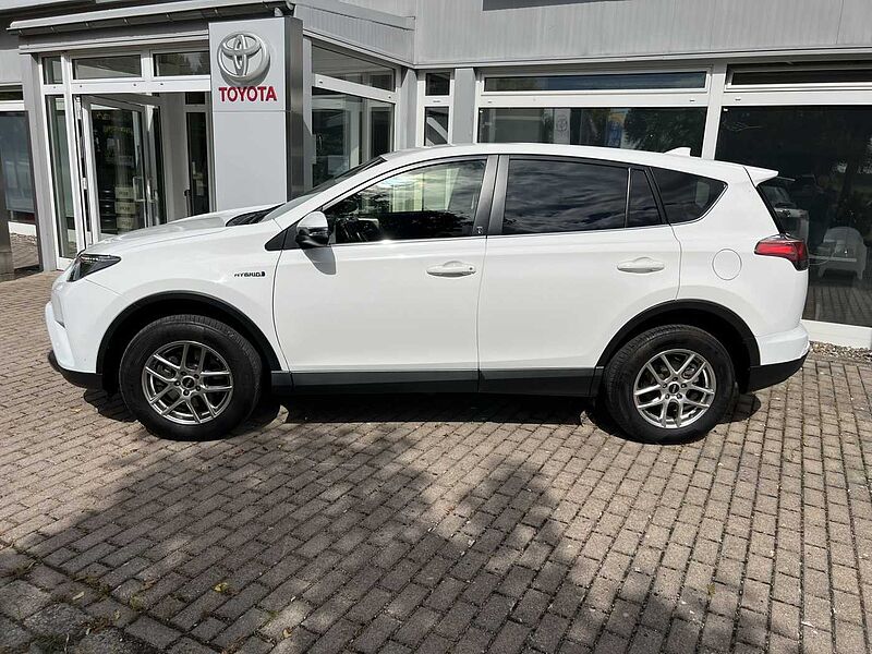 Toyota RAV4 Hybrid - Team Deutschland