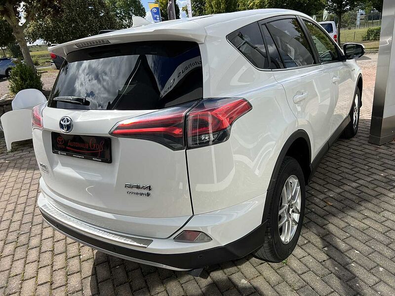 Toyota RAV4 Hybrid - Team Deutschland