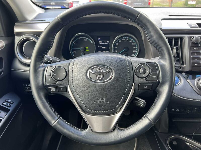 Toyota RAV4 Hybrid - Team Deutschland