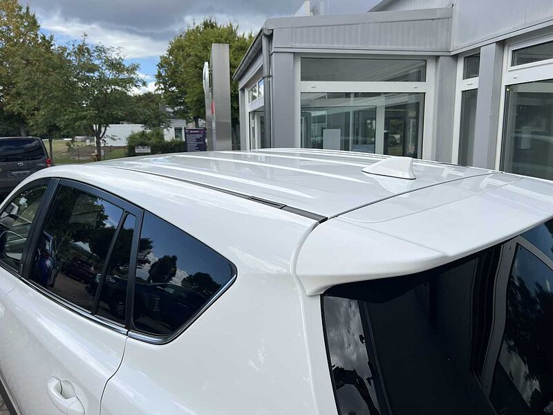 Toyota RAV4 Hybrid - Team Deutschland
