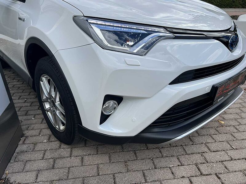 Toyota RAV4 Hybrid - Team Deutschland