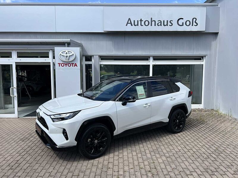 Toyota RAV4 Hybrid Style Selection - 360&deg;Kamera - Leder